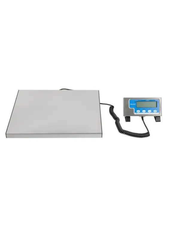 Balance Salter 60kg Offre Spéciale