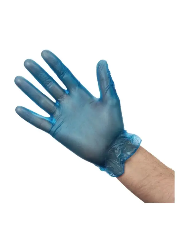 Gants alimentaires en vinyle poudré Hygiplas bleus XL Offre Du Jour