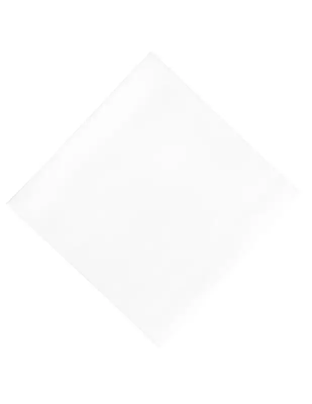 Nouveauté Serviettes déjeuner ouate blanches compostables Duni 400mm (lot de 750)