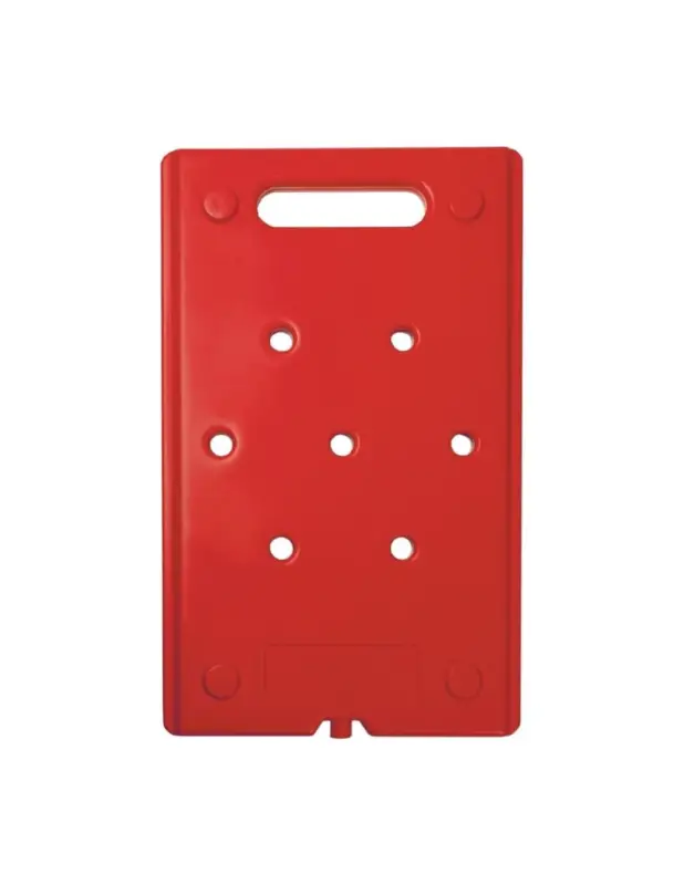 Produit De Marque Plaque eutectique chaude Thermo Future Thermobox