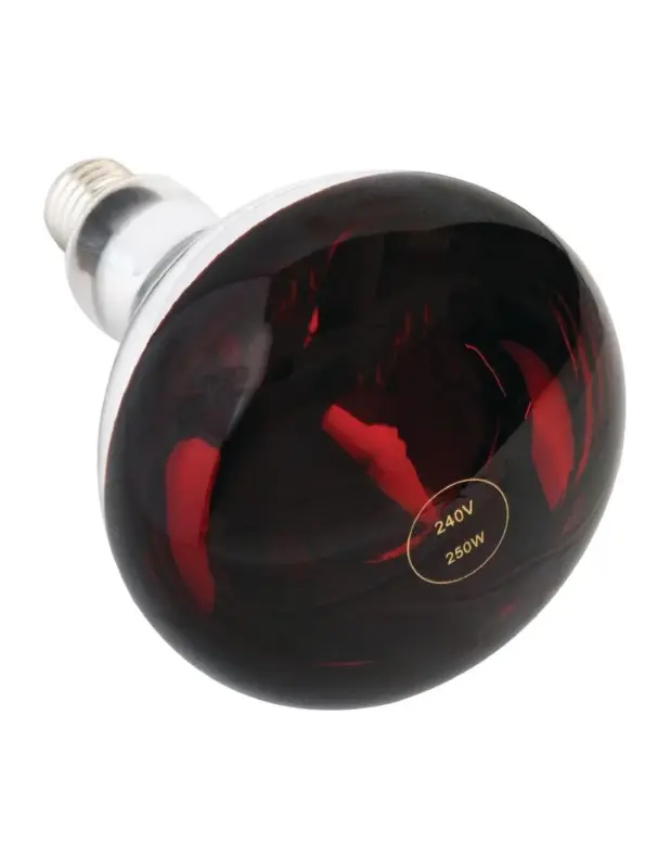 Ampoule chauffante rouge à vis 250W Achat Immédiat