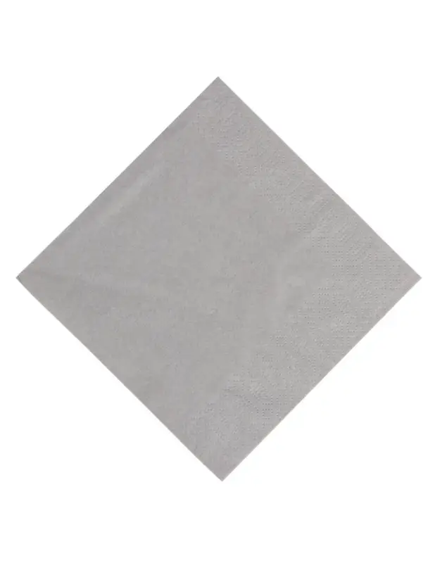 Serviettes snacking ouate gris granite compostables Duni 330mm (lot de 1000) Prix Promo