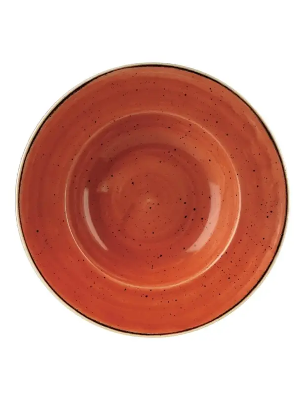 Bols à bord large Churchill Stonecast Spiced Orange 277mm (Lot de 12) Remise