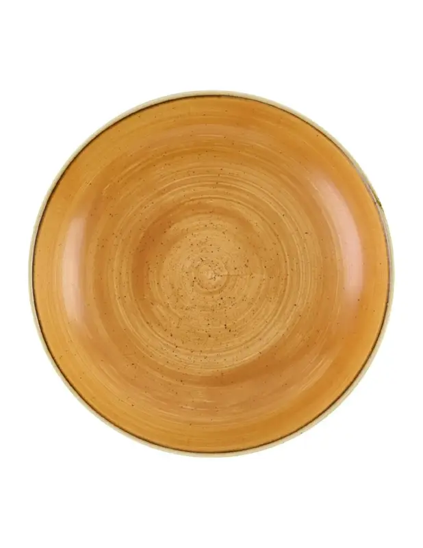 Quantité Limitée Bols Churchill Stonecast Tangerine 248mm (Lot de 12)