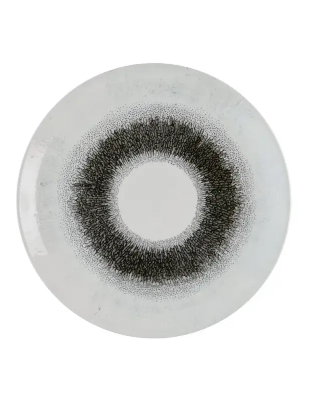 Assiettes rondes Churchill Studio Prints Fusion Black Evolve 285mm (Lot de 12) Commander Vite