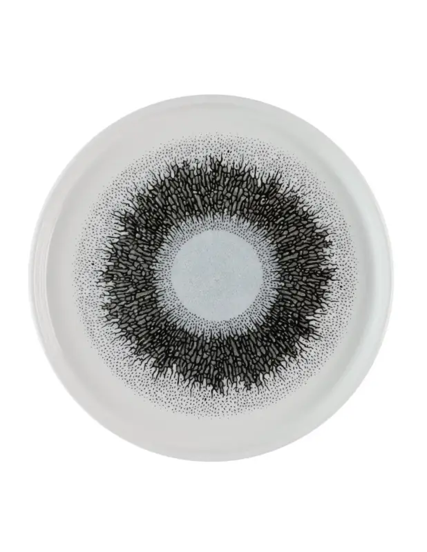 Assiettes avec rebord Churchill Studio Prints Fusion Black 210mm (Lot de 6) Prix Bas