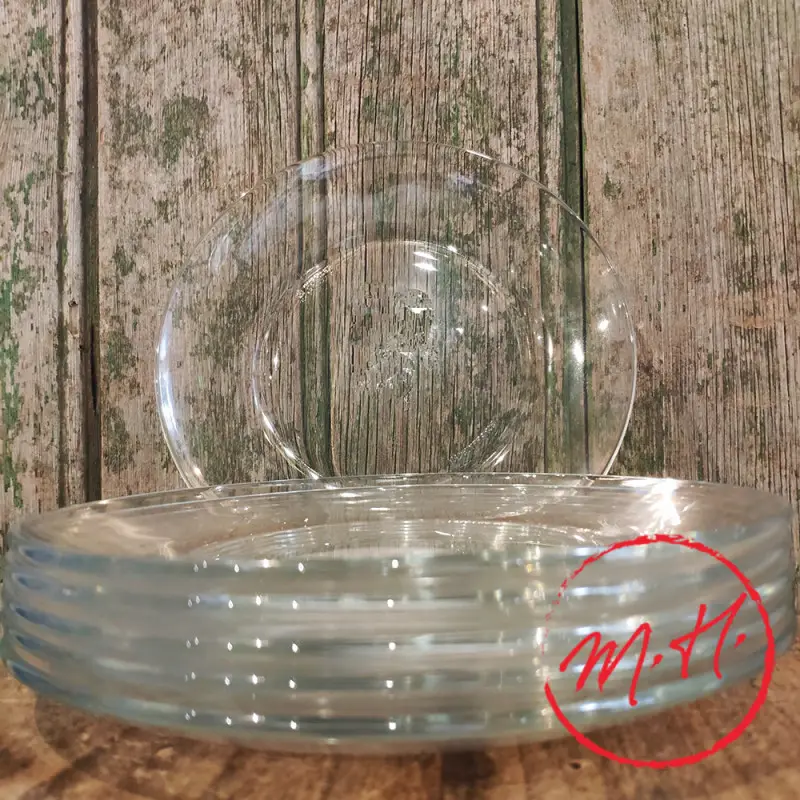 Livraison Gratuite Lot de 6 assiettes plates Duralex