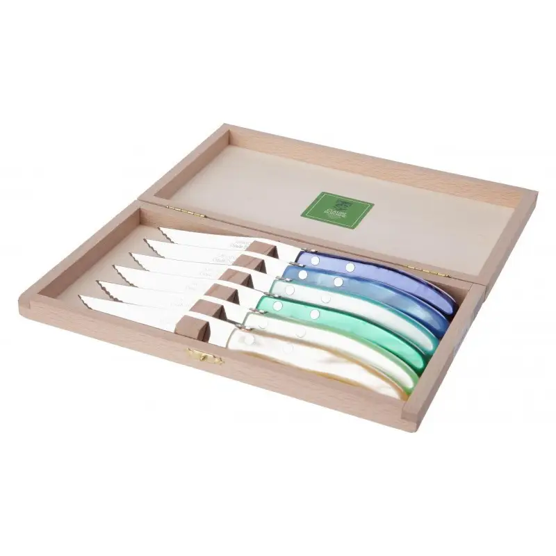 Coffret 6 couteaux à steak Berlingot panaché Bleu Vert, Claude Dozorme Prix Promo