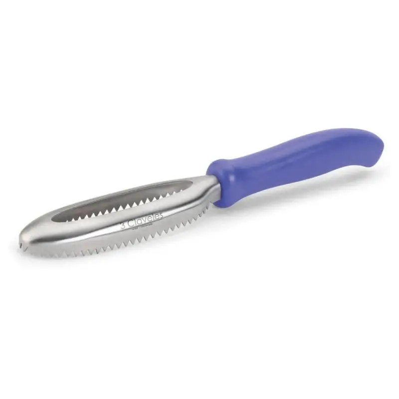 Promotion Saisonnière Écailleur Professionnel Inox Bleu, 3 Claveles