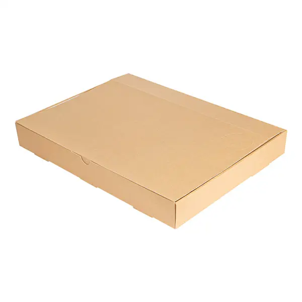 . « THEPACK » 330 G/M2 40x30x5 CM NATUREL CARTON ONDULÉ MICROCANAL (100 UNITÉ) – Garcia de Pou Must-Have