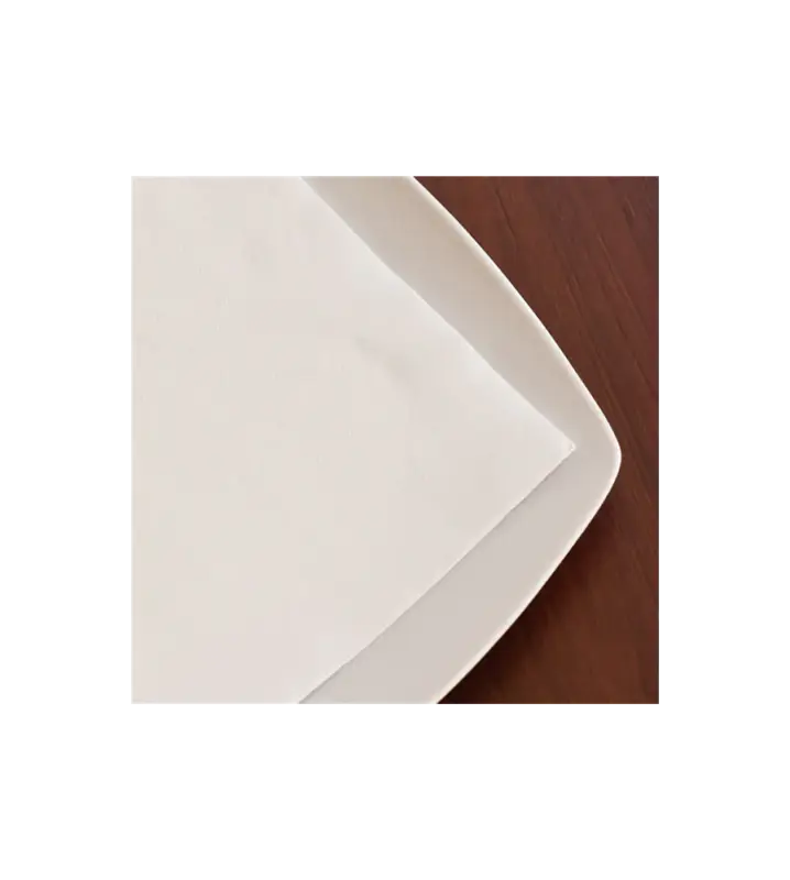 Solde Serviette Papier Ecolabel Blanche 20×20
