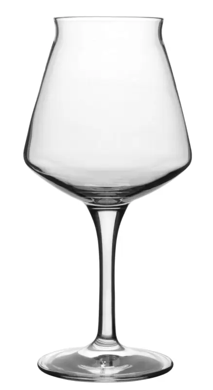 Verre à bière Sommelier, Teku Rastal – 420ml Populaire