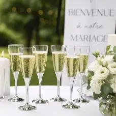Bon Plan Flûte à champagne plastique réutilisable Argent Brillant x 6 pièces