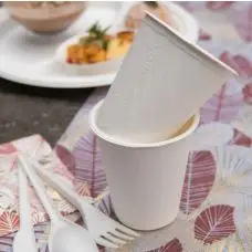Vente Flash Lot de 25 verres plastique bio Blanc pas cher