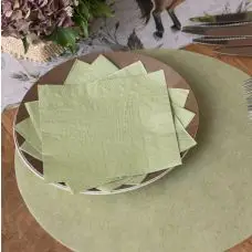 Serviette en papier Vert SAuge 33 x 33 cm x 25 pièces Achetez Aujourd’hui